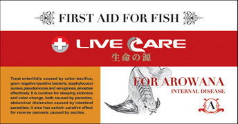 Live Care Medicine for Arowana A (Internal problems) 45片
